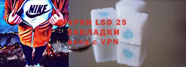 PSILOCYBIN Белокуриха