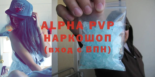 PSILOCYBIN Белокуриха