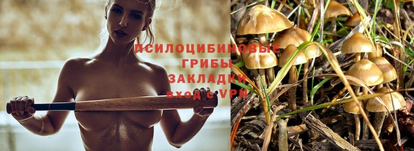 МДПВ Белоозёрский