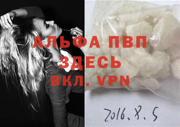 PSILOCYBIN Белокуриха